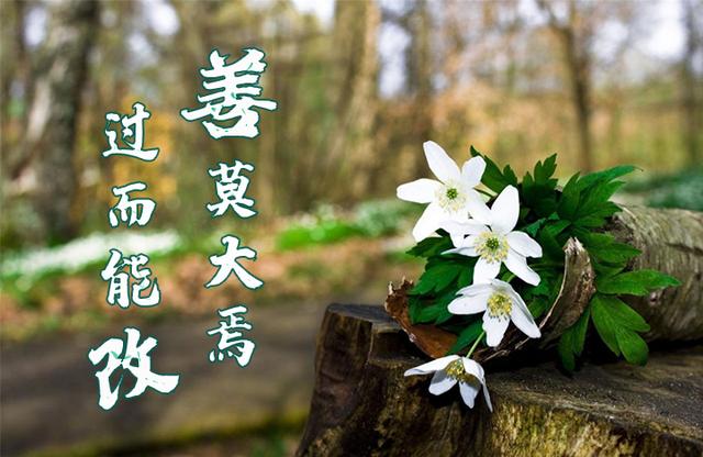 「佛门观察」见面就称“菩萨”貌似恭敬谦卑，实则罪过无穷