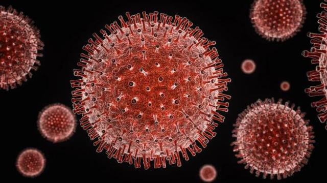 中国团队发现可阻断新冠病毒感染的人源单克隆抗体