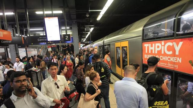 悉尼火车和公交晚点率竟高达17%，哪条线路晚得最厉害？