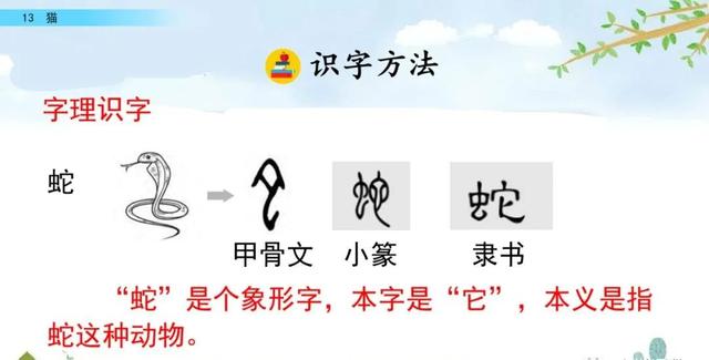 猫生字拼音组词等知识点归类预习及练习