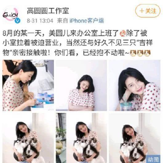 高圆圆胖的太突然！生完孩子1年后体重狂飙，小肚子大象腿超明显