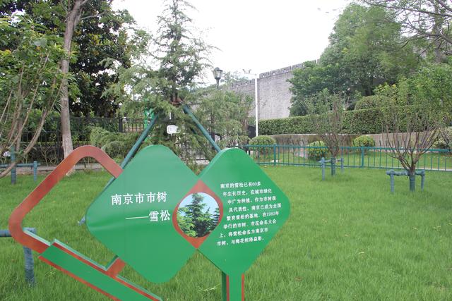 南京市“互联网＋全民义务植树”月牙湖基地揭牌啦！