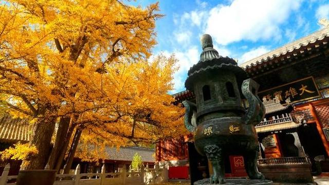 北京红螺寺，求姻缘最灵验的寺庙，最近却风评“被害”