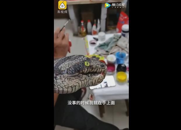 手舞|双胞胎自创手舞 这位有才的大哥已经准备专业做手舞把艺术传承下去