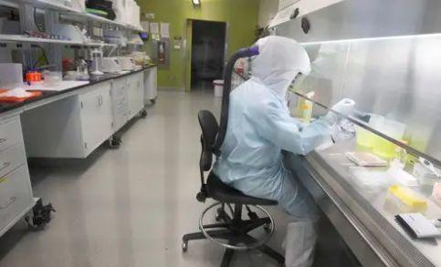 重大突破！澳洲成功研发冠状病毒疫苗，进入动物实验阶段！