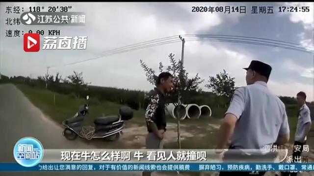 公牛突然发疯狂躁伤人 砰！民警持枪当场击毙疯牛