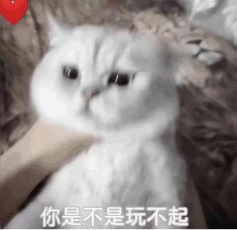 外汇黄金作手 盘面涨跌的底层逻辑10-涨跌在人心