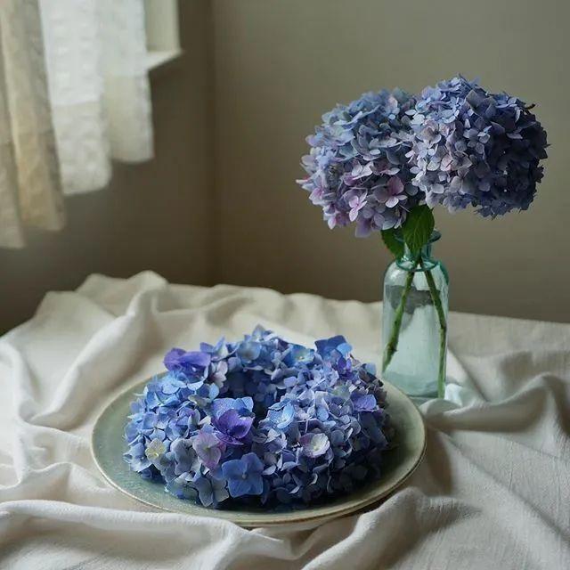 冰系花束养成记 Sikastone