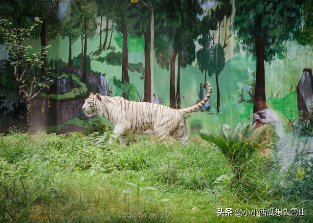 中国性价比最高的公园，为国家4A级景区只收5元门票，就在贵阳！