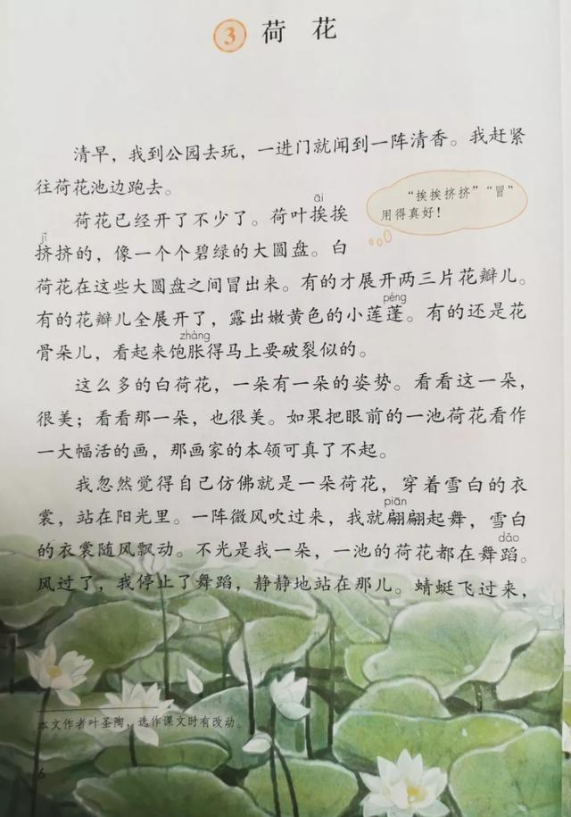 三年级语文下册荷花课文朗读生字预习