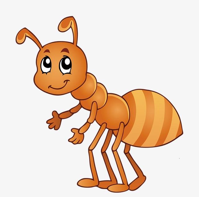 蚂蚁们可以用哪些方法把大米粒运回家