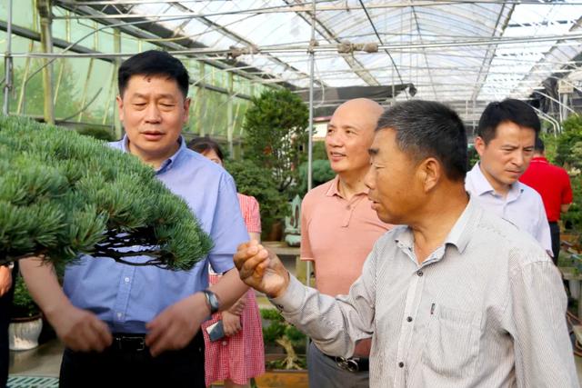县长彭伟率领淮安考查团抚玩花木城