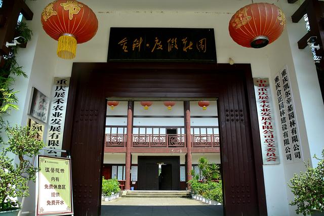 知联会|涪陵知联会农业分会走进康丰火龙果基地、展禾农业公司开展调研活动