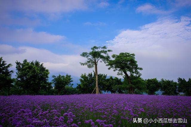 福州又一个摄影、散步好去处，一年四季都可赏花，并免费对外开放