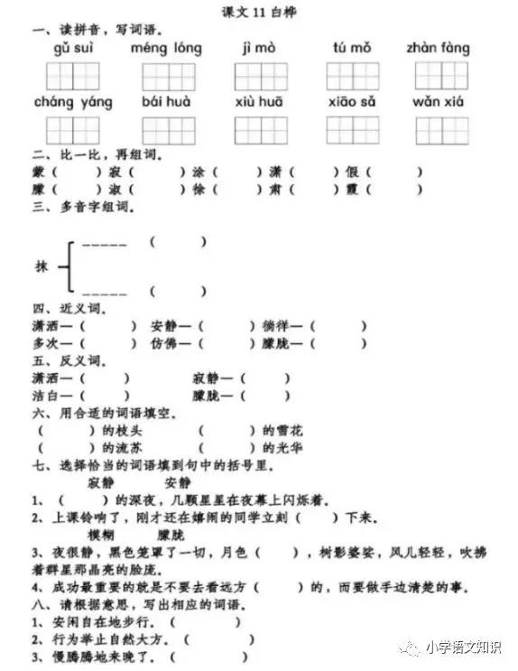 白桦 同步练习 跟我学语文