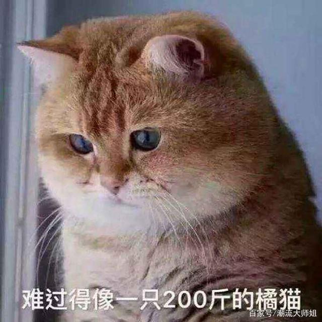 ỤʦԷʸòˮǸÿ