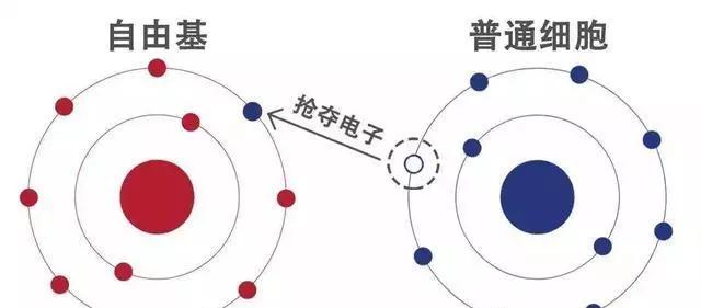 喝三福泉水 开启健康新时代 世界第四大奇迹之泉 星城网