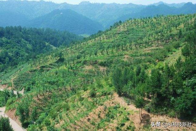 2020年起，养老补贴再度升级，快看看你符合领取