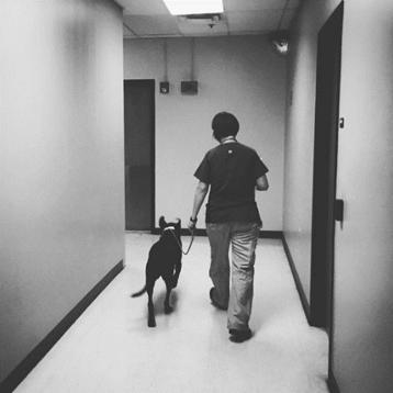 如果分离无法避免，请让我们好好告别