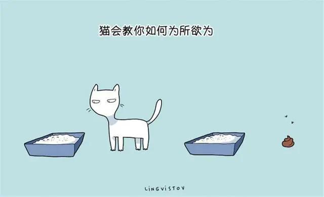 艺术与设计 漫画 猫咪教会你做哪些事 大火 网友 我家猫咪只会让我去铲屎