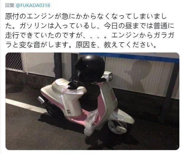 日本女优推特深夜营业涨粉百万，评论区成大型科普现场…