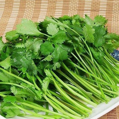 香菜什么意思(网络用语香菜什么意思)