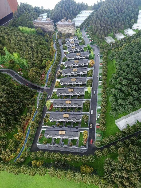 杭州临安凤凰府邸中式别墅 为何价格这么低?-杭州楼讯