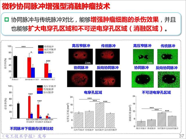 前沿技术报告｜重庆大学姚陈果教授：高压超短脉冲技术及应用