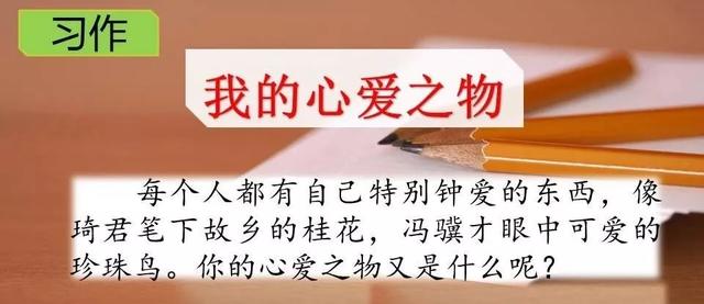 《习作：我的心爱之物》习作指导与范文-跟我学语文