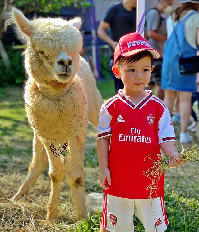 李乘德晒二儿子新发型，奕霖撞脸胡杏儿9年前角色造型，简直超像