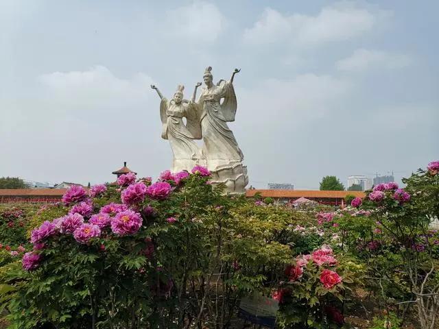 “菏澤？印象里很落后啊”，那你out了