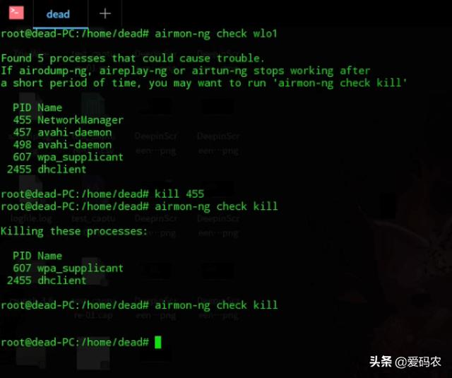 您需要了解的有关DDOS的一切：什么是DDOS攻击？