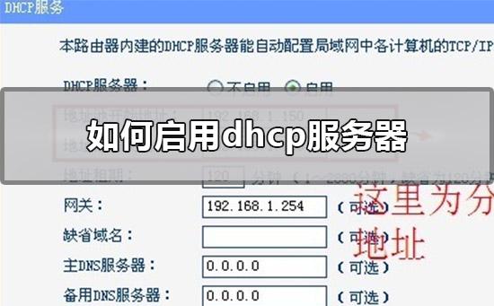 宽带连接中的DHCP怎么开启