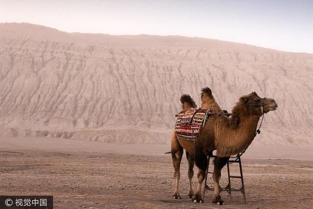 火焰山：没有最热只有更热