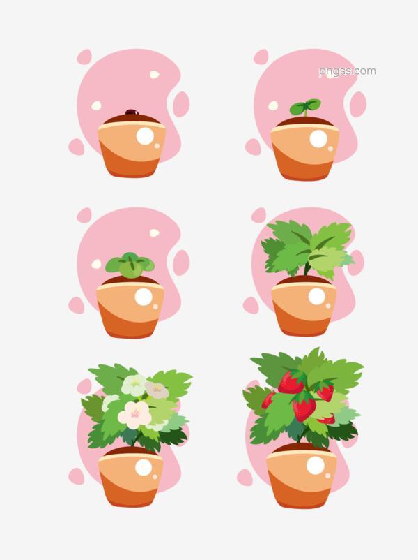 卡通草莓植物生长过程矢量装饰图案png搜索网 精选免抠素材 透明png图片分享下载 Pngss Com