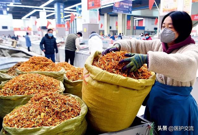 问道中医药：中医药出海，敢问路在何方？