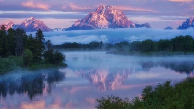 柔和什么意思(柔和的释义)