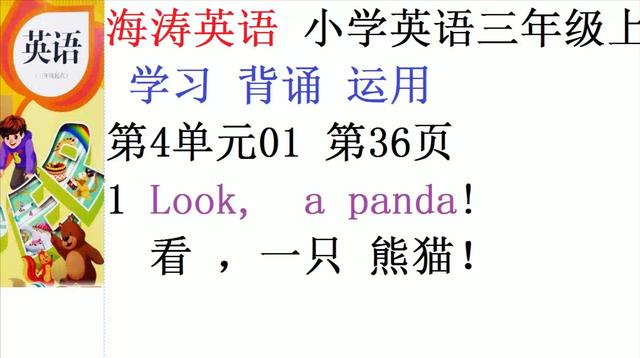 熊猫用英语怎么说读(熊猫英文发音试听)
