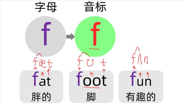 F是什么意思 F是什么意思网络语言 好唯一