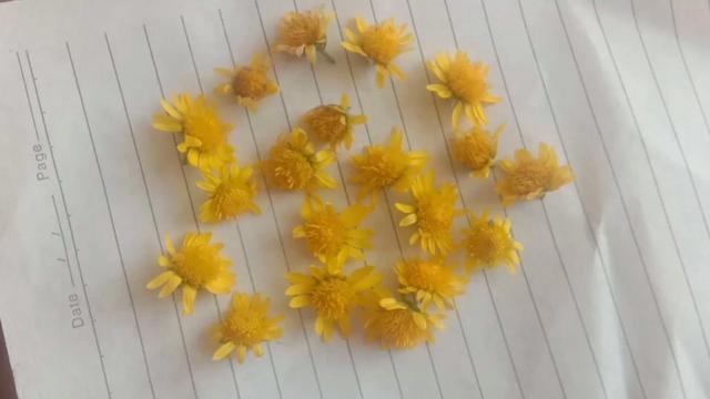 感冒菊花茶 茶百科