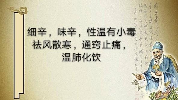 通窍什么意思(中医通窍是什么意思)