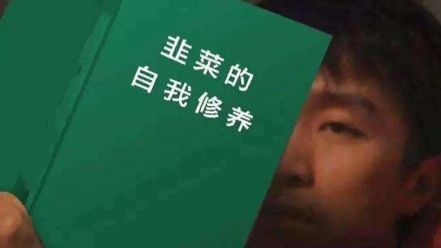 割韭菜是什么意思(割韭菜是什么梗)