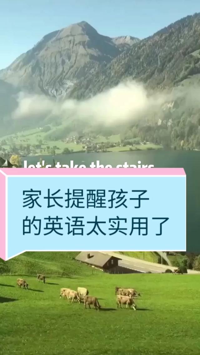 years是什么意思year是什么意思中文