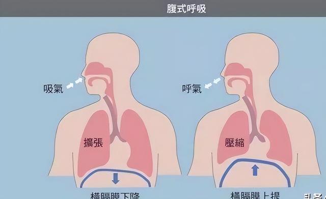 the-necessary-skills-for-practicing-boxing-the-body-is-like-an-airbag