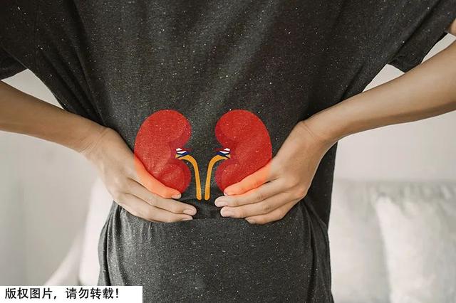 Want To Go To The Bathroom When You Are Nervous Is It Bad Kidney The Behaviors That Hurt The 