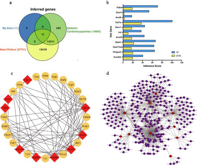 Using animal model public data for analysis + animal model verification ...