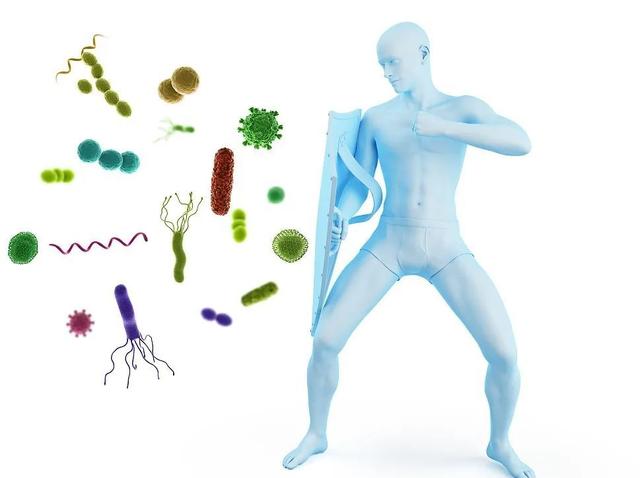Immunity is the best doctor!Do this and stop going to the hospital - iNEWS
