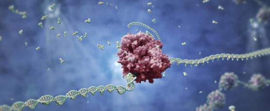 NextRNA raises $56 million to develop transformative non-coding RNA ...