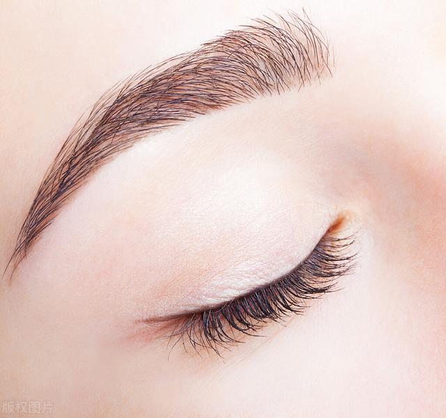 How Do You Know How Long Your Eyebrows Should Be INEWS