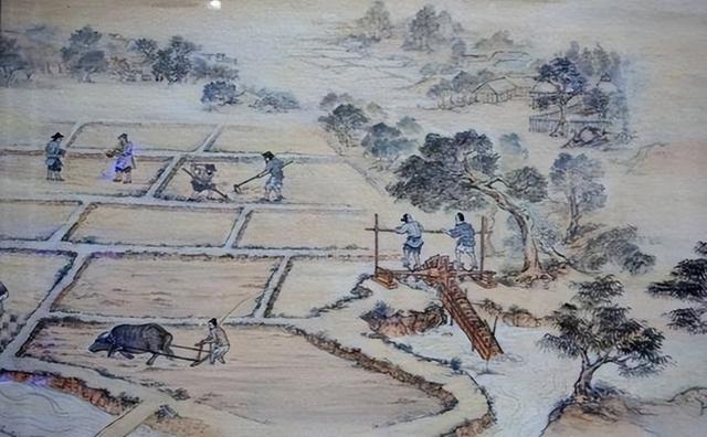 Equal-field system: Each person has land to cultivate. A brief analysis of the prosperity and ...